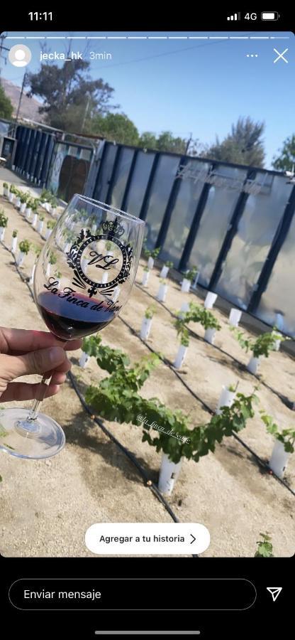La Finca De Vane Valle de Guadalupe Zewnętrze zdjęcie