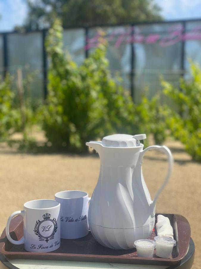 La Finca De Vane Valle de Guadalupe Zewnętrze zdjęcie
